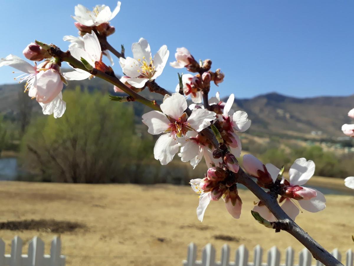 Lake Clarens Guest House 외부 사진