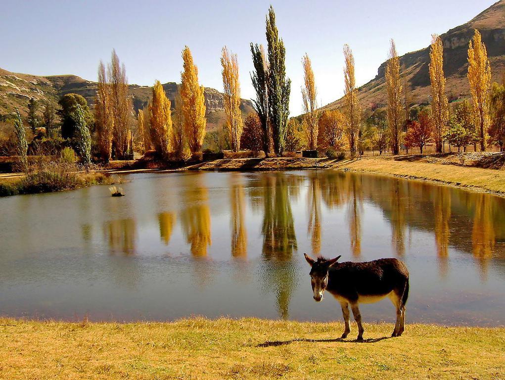 Lake Clarens Guest House 외부 사진