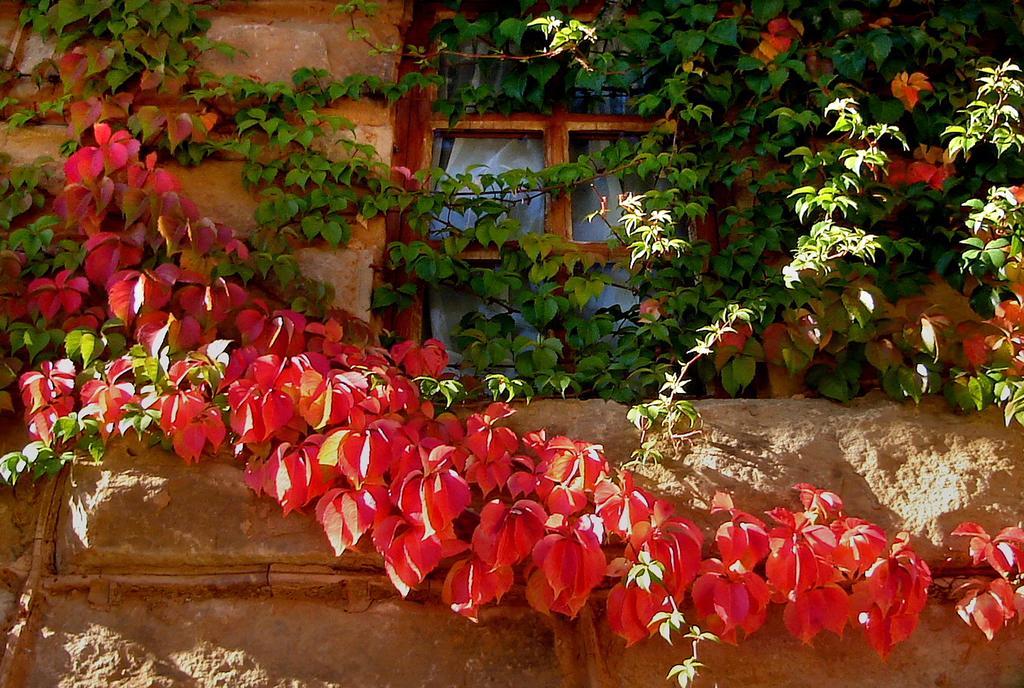 Lake Clarens Guest House 외부 사진